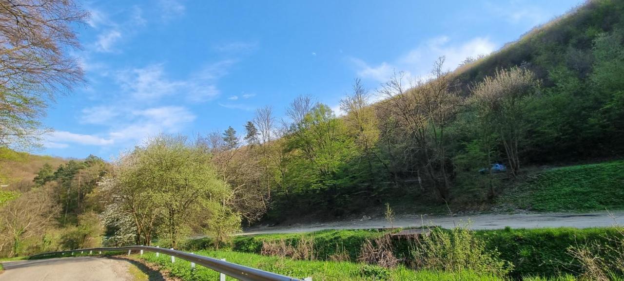 Hos-Cegledi Vendeghaz Miskolc -Oenallo Otthon, Mely Csak Az Oenoeke Exterior foto
